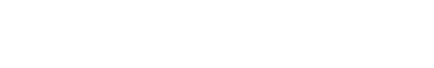 Luiz Gustavo Nemer Saud